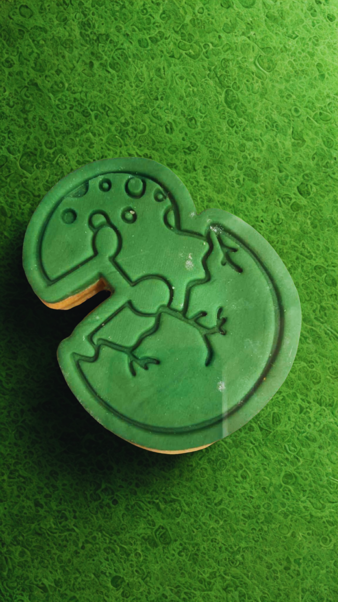 Custom Sugar Cookies
